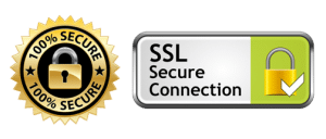 Descargar Curso APS SSL Secure Connection 300x128 2